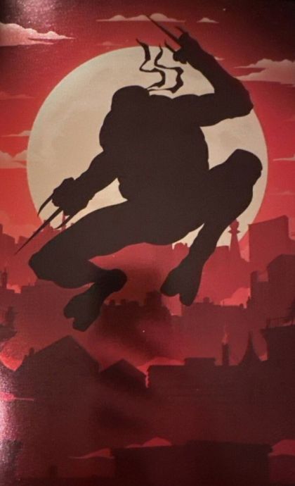 TEENAGE MUTANT NINJA TURTLES #1 DAVIS RIDER EXCLUSIVE FOIL SILHOUETTE VIRGIN VARIANT